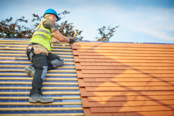 Best Steel Roofing  in Arche, OK